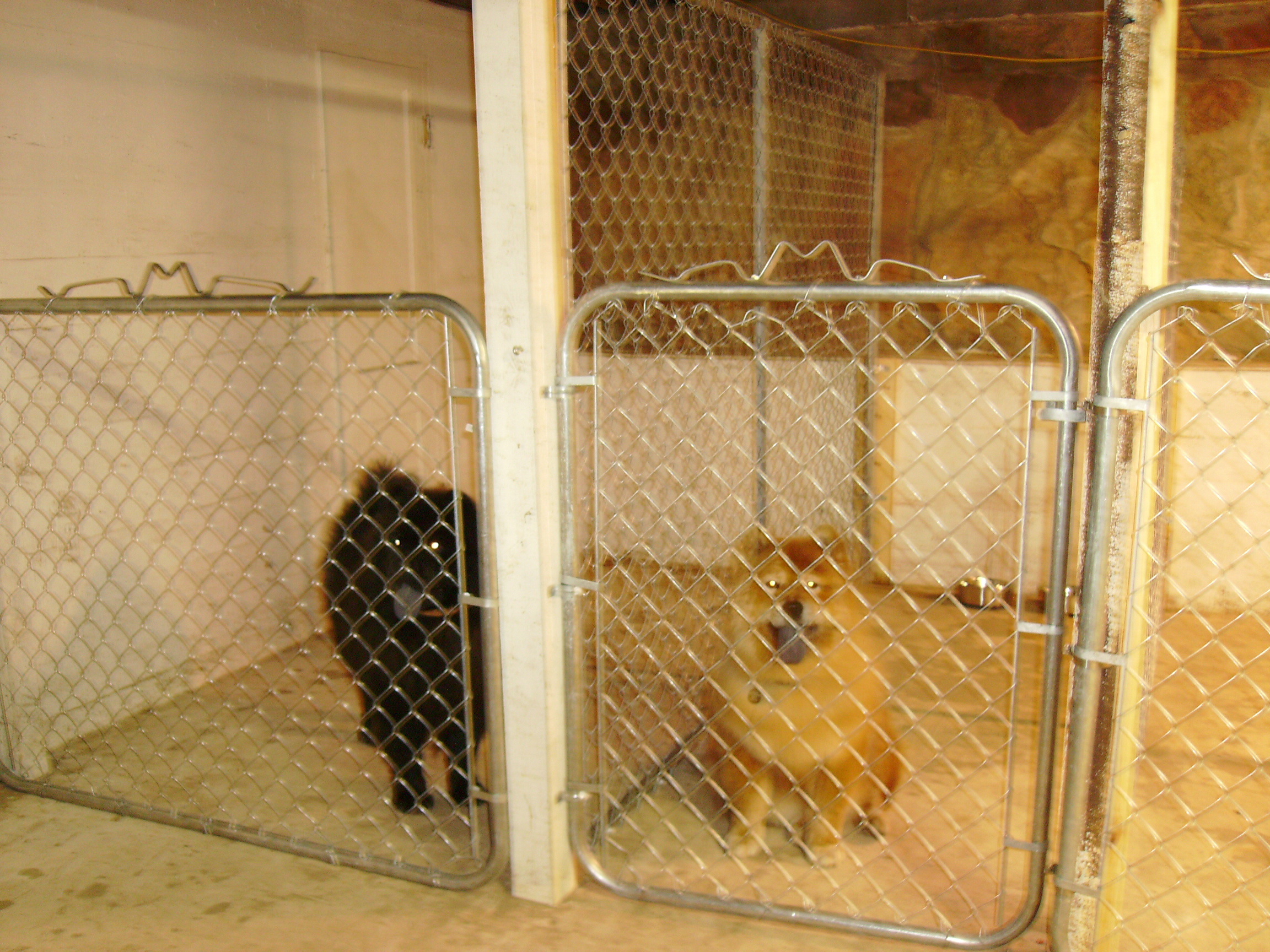 Arkansas House Kennels