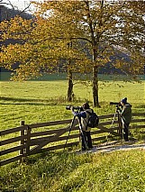 elk photographers in Boxley Valley