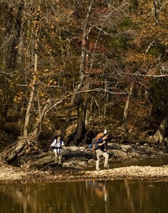 hikers along the old buffalo river trail